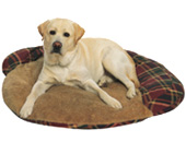 Dog Beds